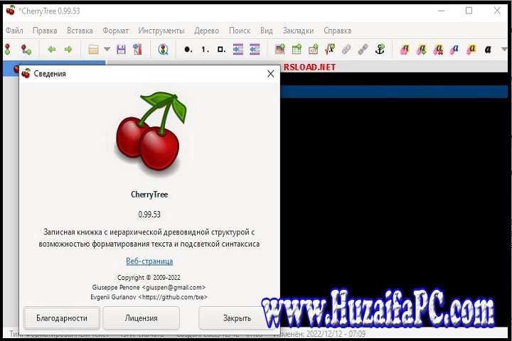 GetFLV 30.2307.13.0 PC Software with Patch 