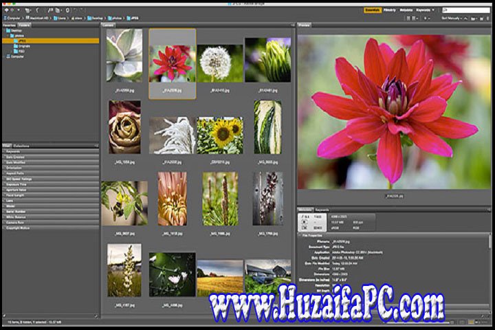 Adobe Bridge 2023 v13.0.2.636 PC Software with Patch