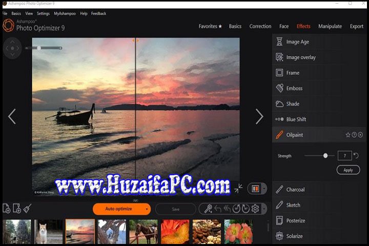 Ashampoo Photo Optimizer 9.3.4 PC Software with Patch 