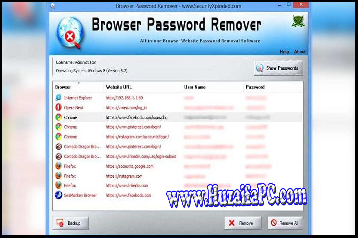Browser Password Decryptor Password Recovery Results