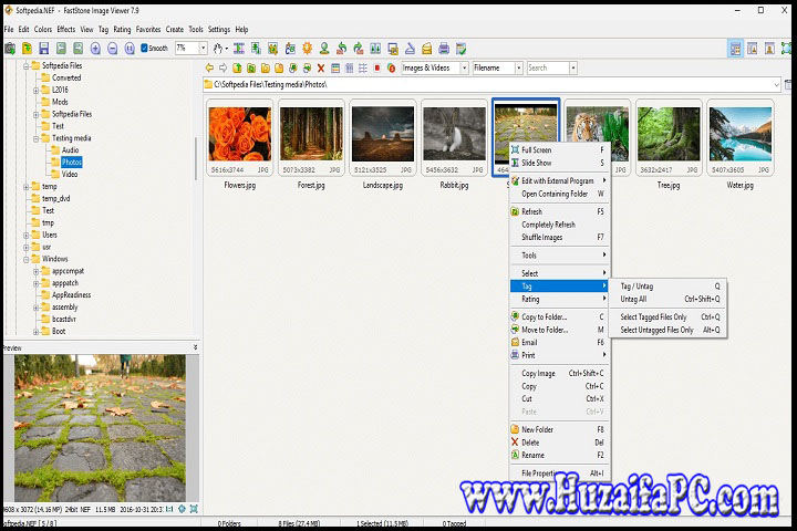 FastStone Image Viewer 8.0 - Free Image Viewer Software FastStone Image Viewer 8.0 New Software Free Download
