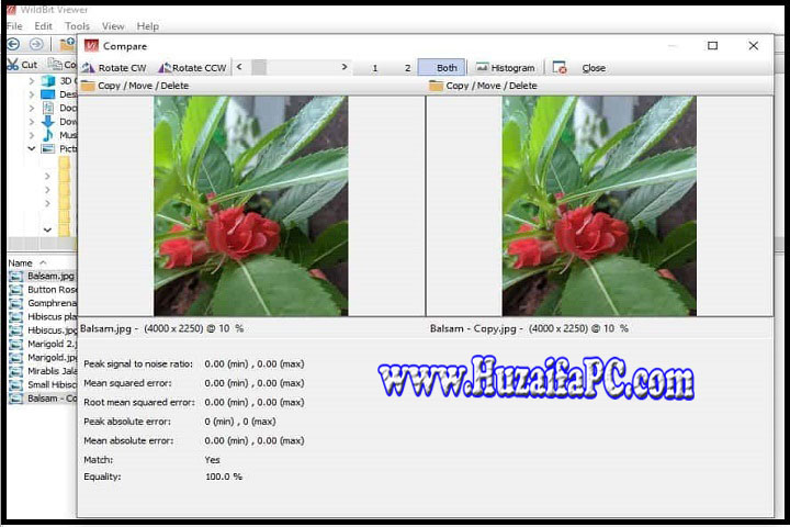 WildBit Viewer : Version 6.16 Commercial - Latest Software WildBit Viewer 6.16 Commercial - User-friendly interface with advanced viewing options for image management